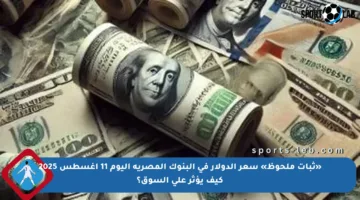 «ثبات ملحوظ» سعر الدولار في البنوك المصرية اليوم 11 أغسطس 2025 كيف يؤثر على السوق؟